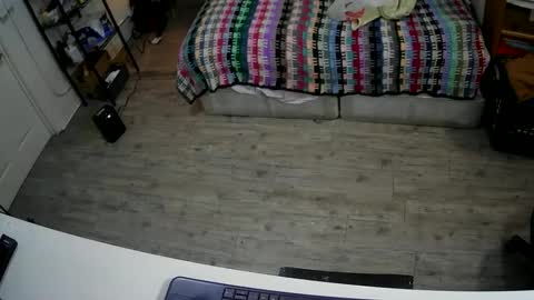 sterileball online show from 7, 12, 2024