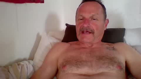 Snapshot of steven626708 chatting on 15, 3, 2026 steven626708 online show from 15, 3, 2026