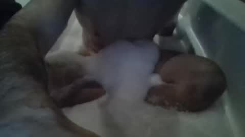 Tiny D online show from 15, 11, 2025