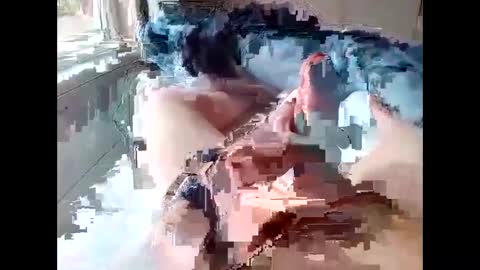 stevie_y19 online show from 14, 2, 2025