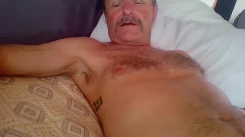Snapshot of steviehard7 chatting on 2, 10, 2025 steviehard7 online show from 2, 10, 2025