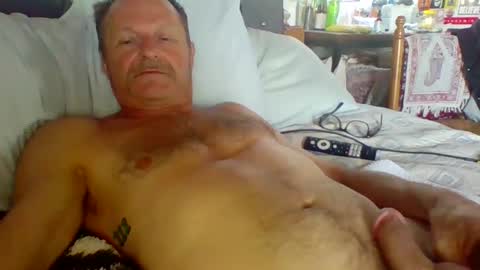 Snapshot of steviehard7 chatting on 8, 10, 2025 steviehard7 online show from 8, 10, 2025