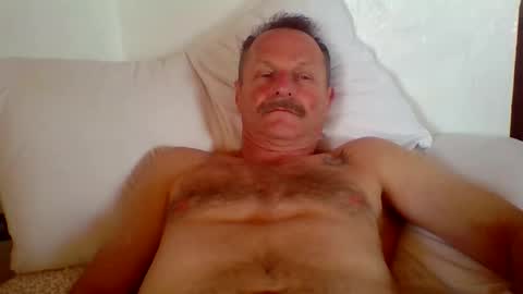 steviehard7 online show from 4, 2, 2026