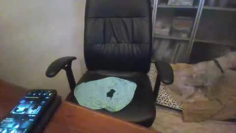 rainy online show from 14, 12, 2025