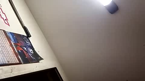 Snapshot of stokely571996 chatting on 1, 1, 2025 Oval2022 online show from 1, 1, 2025