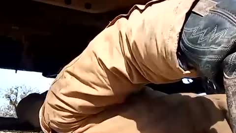 Snapshot of stokely571996 chatting on 1, 1, 2025 Oval2022 online show from 1, 1, 2025