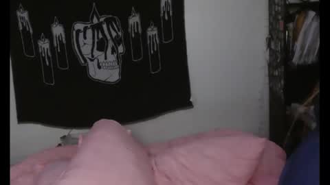 Snapshot of stoned2dabones666 chatting on 5, 12, 2024 Haily online show from 5, 12, 2024