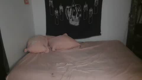 Snapshot of stoned2dabones666 chatting on 3, 3, 2025 Haily online show from 3, 3, 2025
