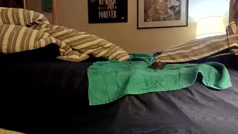 stoppageflo45662 online show from 24, 10, 2025