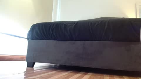 Snapshot of stormy_carter chatting on 4, 11, 2025 stormy carter online show from 4, 11, 2025