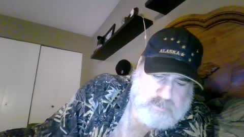 Straightbear4you online show from 11, 7, 2026