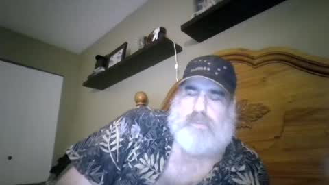 Straightbear4you online show from 8, 8, 2026