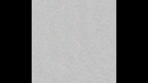 Alice and Violetta online show from 14, 12, 2025