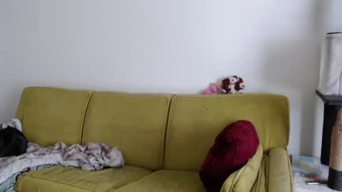 Strawberrylotsacake online show from 13, 5, 2026