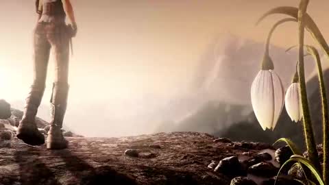 stream247_v2 online show from 13, 2, 2026