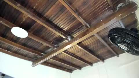 Alexa   online show from 2, 2, 2026