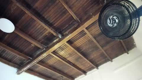 Alexa   online show from 25, 3, 2026