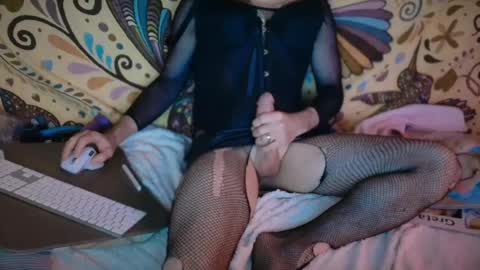 stseal3 online show from 26, 4, 2026