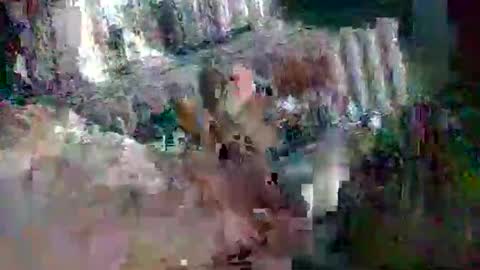 Snapshot of stud_1975 chatting on 2, 3, 2025 stud_1975 online show from 2, 3, 2025