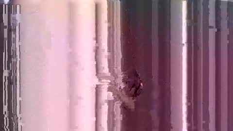 ControlMeViaTeamviewer online show from 3, 12, 2024