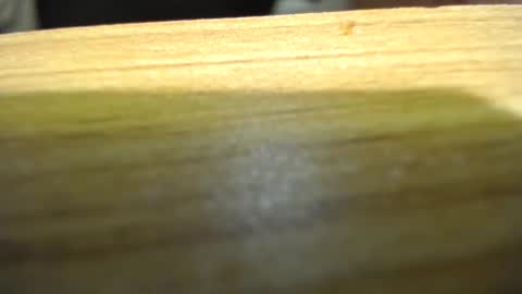 subswitchuser online show from 15, 1, 2025