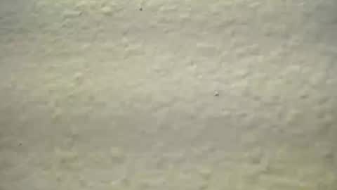 subswitchuser online show from 3, 10, 2025