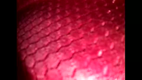 Snapshot of suck_me810555 chatting on 19, 10, 2025 suck_me810555 online show from 19, 10, 2025