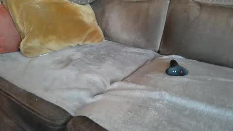 Suessli online show from 22, 10, 2025