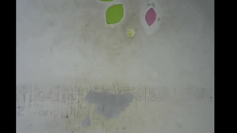 Bella online show from 11, 11, 2025