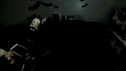 Sugary online show from 25, 2, 2026