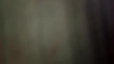 suly online show from 2, 4, 2026