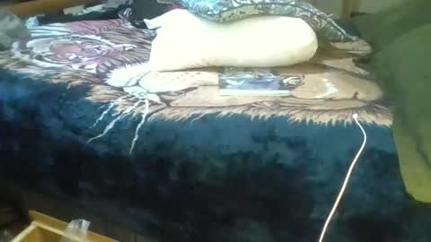 Suntroll online show from 18, 3, 2026