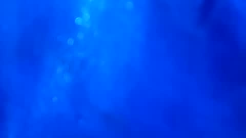 Snapshot of superarce chatting on 12, 1, 2025 superarce online show from 12, 1, 2025