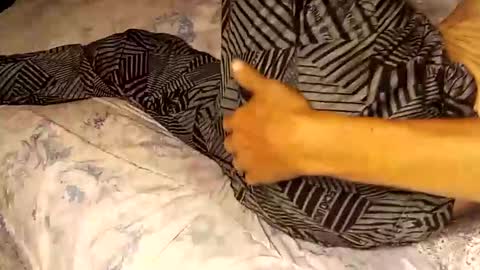 Snapshot of superdavedetailzz2025 chatting on 19, 9, 2025 superdavedetailzz2025 online show from 19, 9, 2025