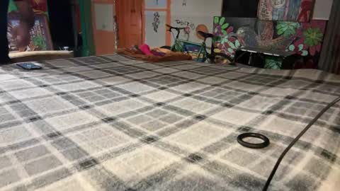 Stony online show from 2, 12, 2024