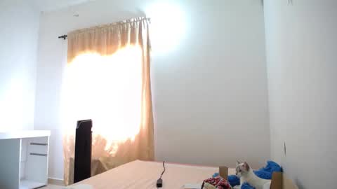 Susana online show from 21, 1, 2025