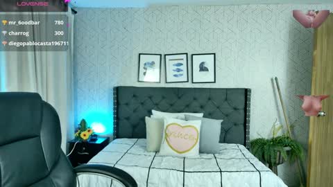   online show from 26, 12, 2024