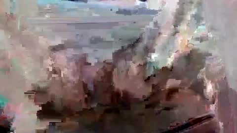 Snapshot of suttond4858 chatting on 12, 9, 2025 suttond4858 online show from 12, 9, 2025