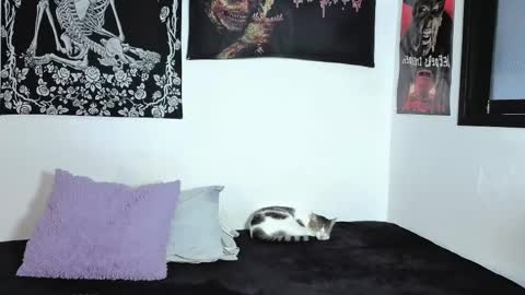 Snapshot of sweet__natashaa chatting on 6, 4, 2026 Natasha independent modelo online show from 6, 4, 2026
