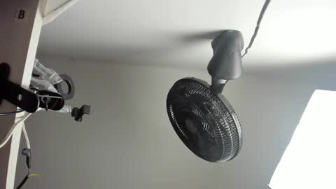 Vanessa online show from 27, 10, 2025