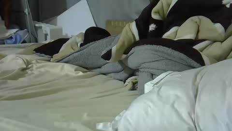 Snapshot of sweet_bellah66 chatting on 8, 3, 2026 Bellah online show from 8, 3, 2026