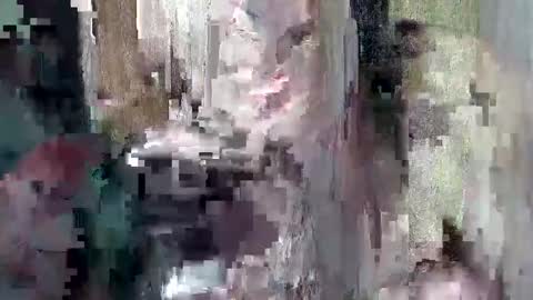 sweet_chel online show from 9, 5, 2026