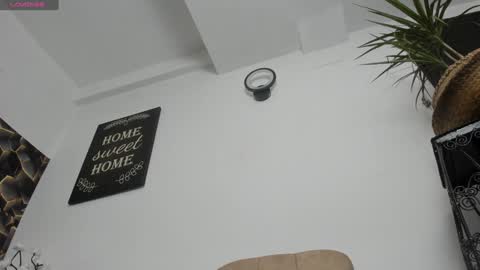 Alesy online show from 16, 12, 2024