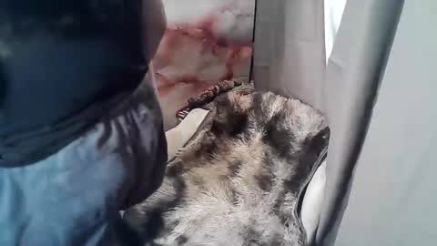 Snapshot of sweet_ruby1994 chatting on 19, 11, 2025 RUBY online show from 19, 11, 2025