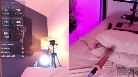 SUSIE online show from 7, 11, 2025