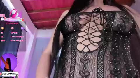 tamy  online show from 11, 6, 2026
