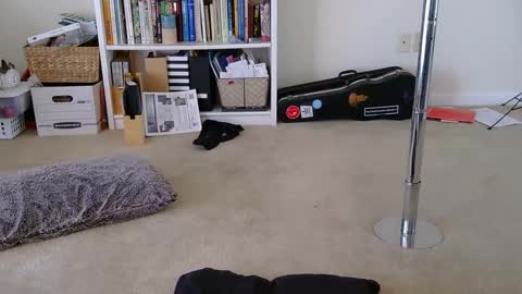 Heidi Brenner - Please check bio for schedule  FAQ online show from 28, 1, 2025