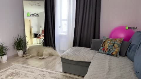 Vicktorious online show from 17, 1, 2025