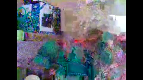 sweetib1 online show from 27, 2, 2025