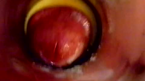 sweetkreme69 online show from 11, 10, 2025